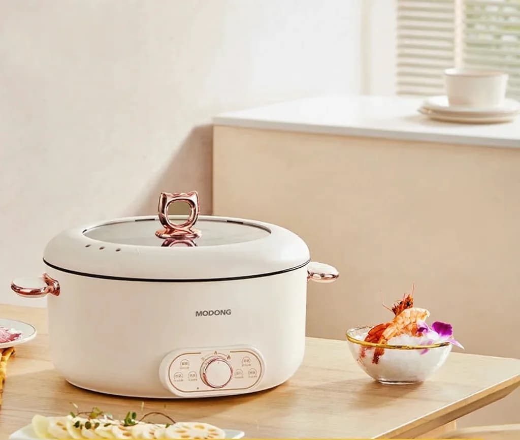 Grande marmite électrique 6L avec panier vapeur, revêtement antiadhésif