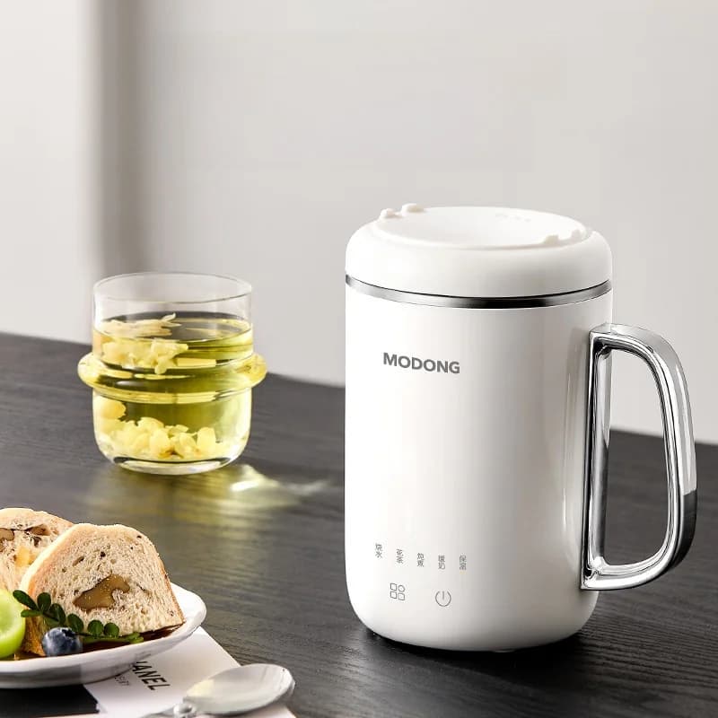 Tasse mijoteuse électrique portable 450 ml 220 V avec filtre et cuillère
