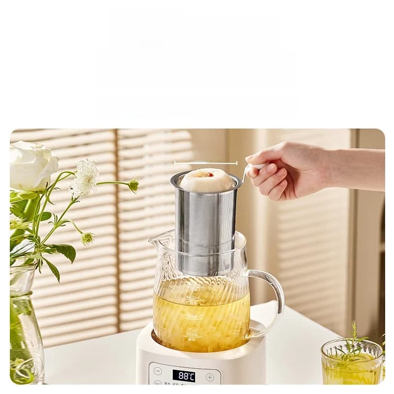 Bouilloire électrique en verre avec contrôle de température 1.2L