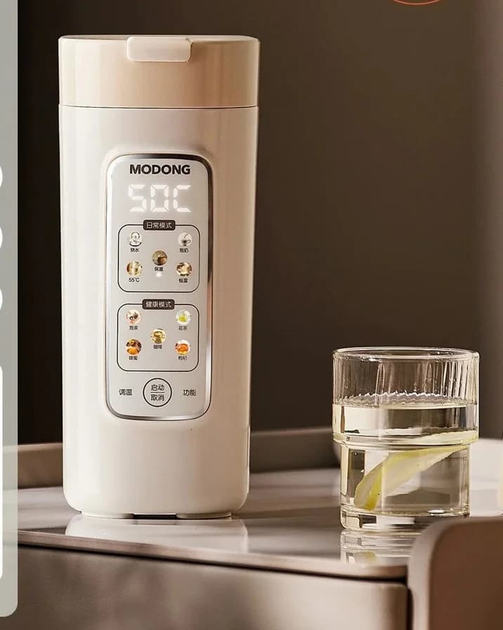 Tasse chauffante électrique portable avec filtre, 220V