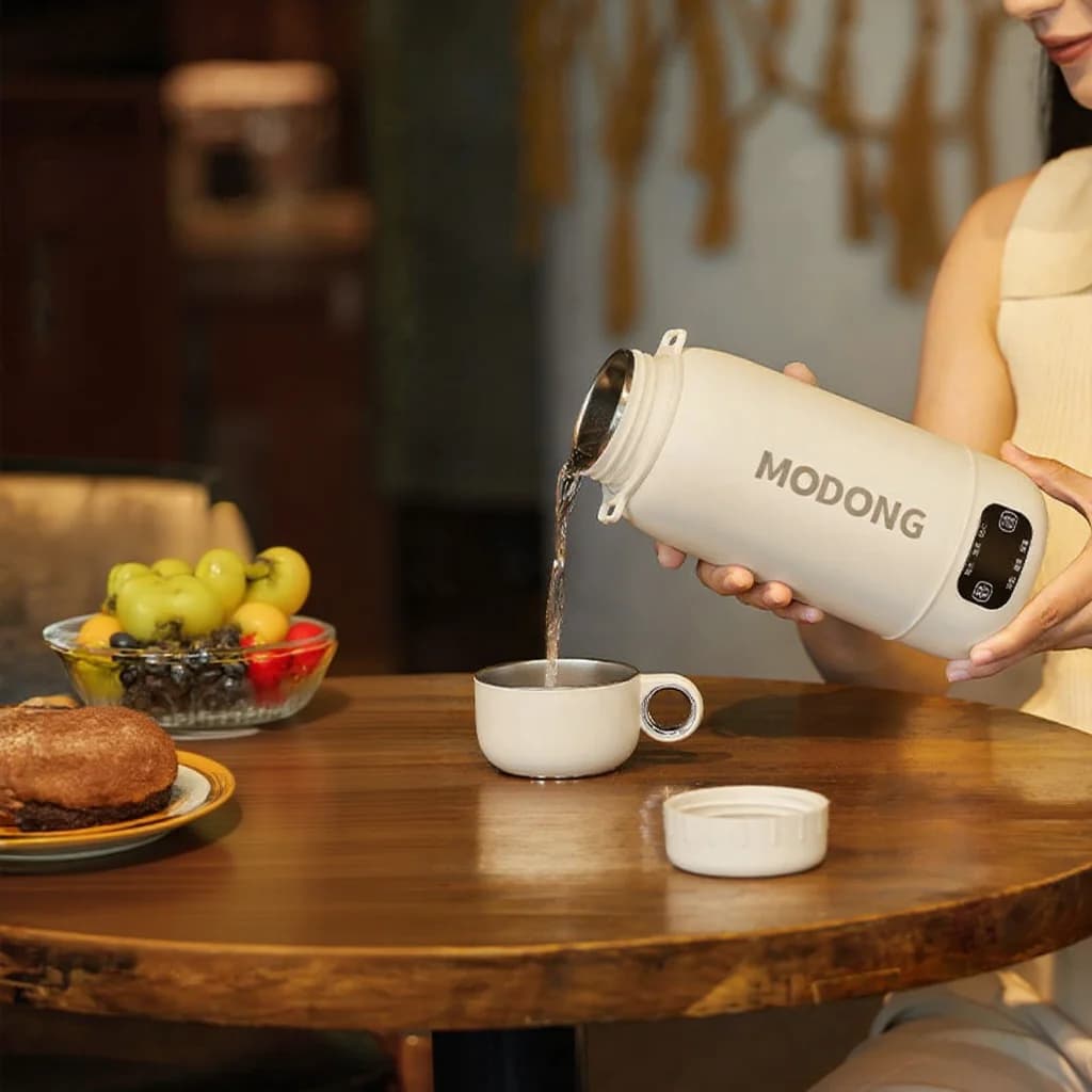 Bouilloire de voyage électrique portable, tasse chauffante 1L en acier inoxydable 316