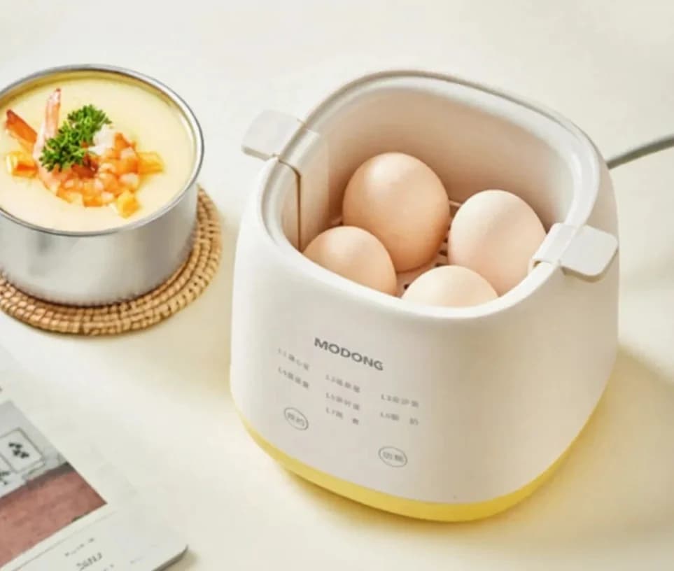 Cuiseur à œufs électrique 4-6 œufs avec bol à flan d'œuf