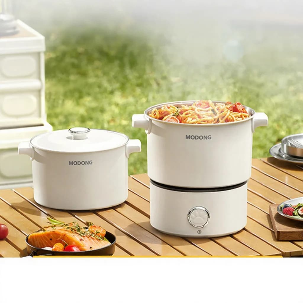 Marmite de cuisson électrique portable et pliable 110V-220V 550W/700W