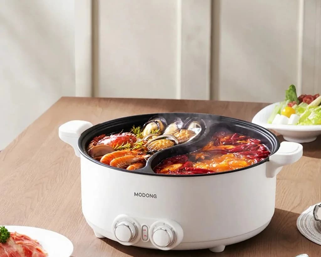 Pot électrique double zone 8L avec température réglable