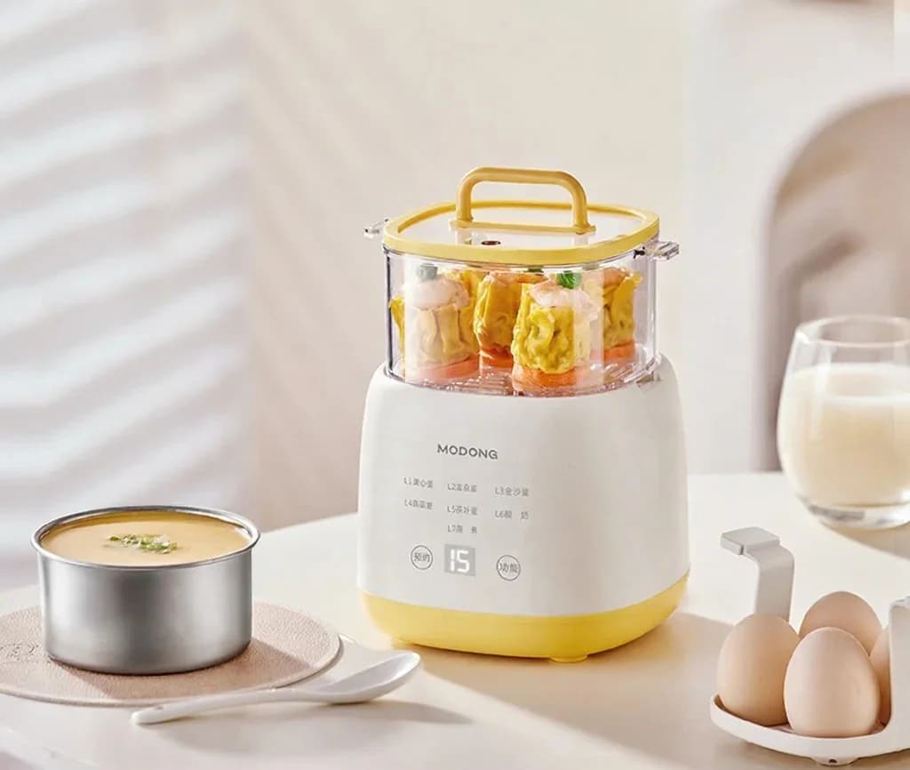 Bouilloire à œufs électrique 4-6 œufs avec bol à flan d’œuf