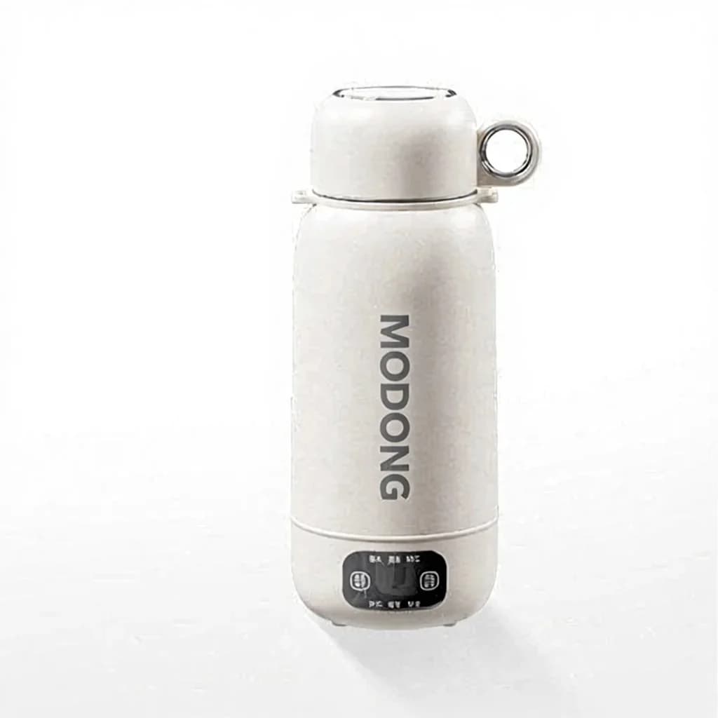 Bouilloire électrique portable pour voyage et voiture, à brancher, 1L