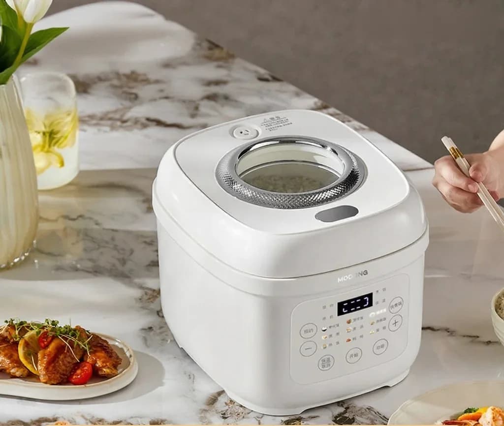 Cuiseur à riz électrique 3L avec pot intérieur en céramique, 600W