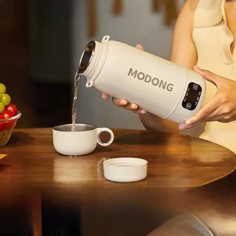 Bouilloire électrique portable pour voyage et voiture, à brancher, 1L