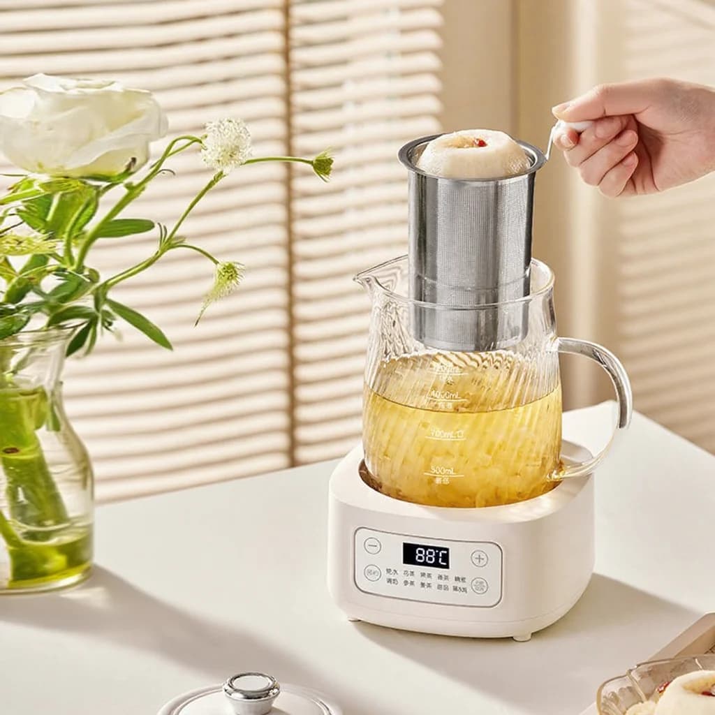 Bouilloire électrique en verre avec contrôle de température 1.2L