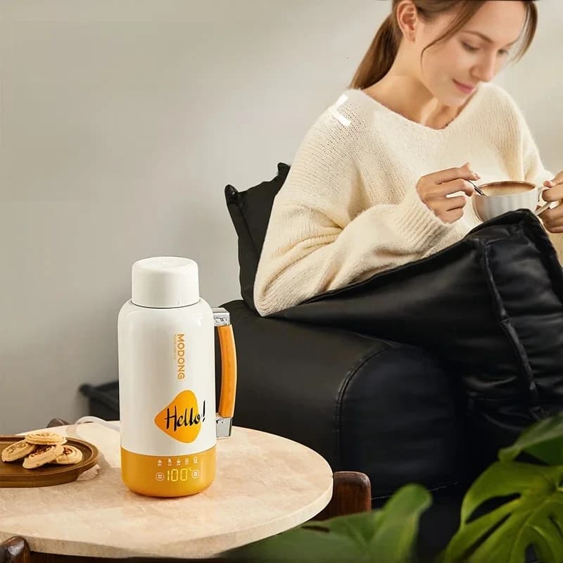 Tasse bouilloire électrique portable pour voiture et prise secteur 1L acier inoxydable 316