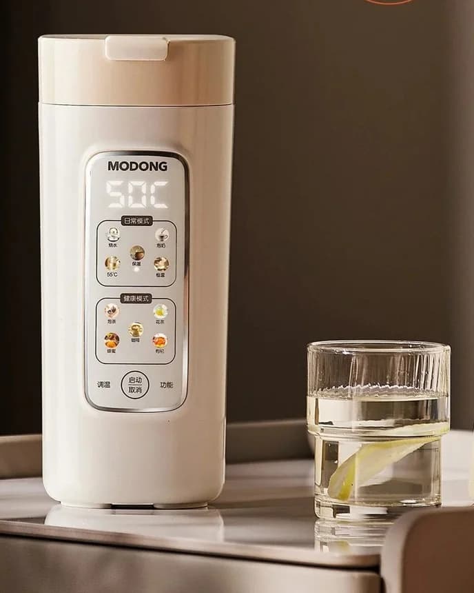 Tasse chauffante électrique portable avec filtre, 220V