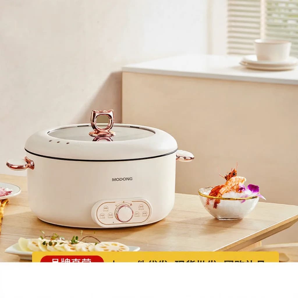 Grande marmite électrique 6L avec panier vapeur, revêtement antiadhésif