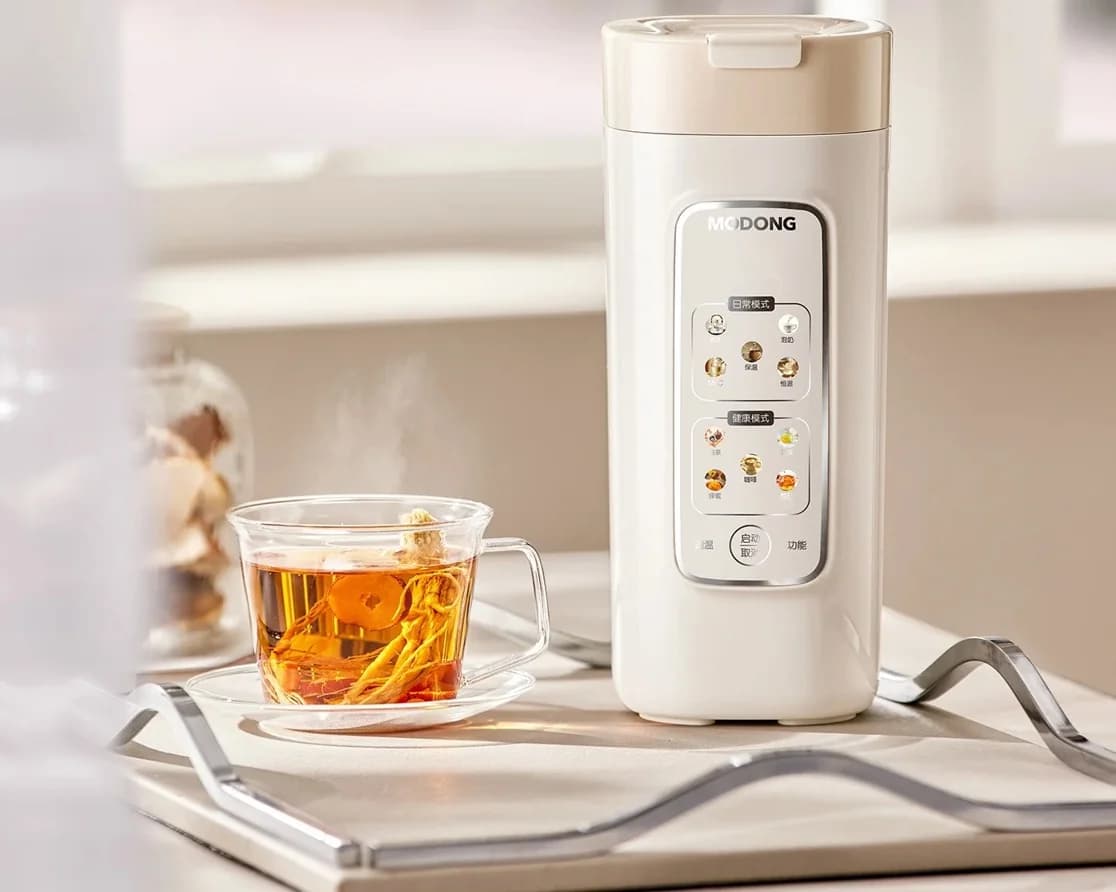 Tasse chauffante électrique portable avec filtre, 220V
