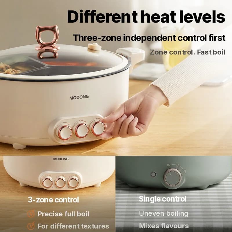 Marmite électrique à compartiments 6L-8L, 220V, 5-6 personnes