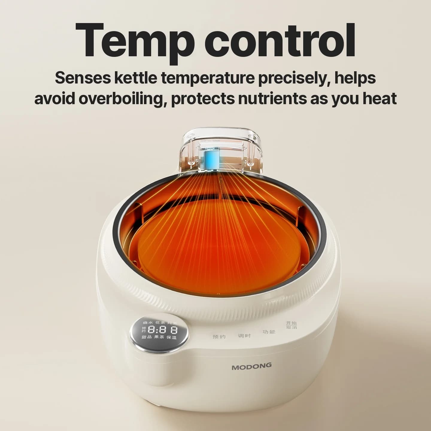 Bouilloire électrique en verre avec contrôle de température, 1L