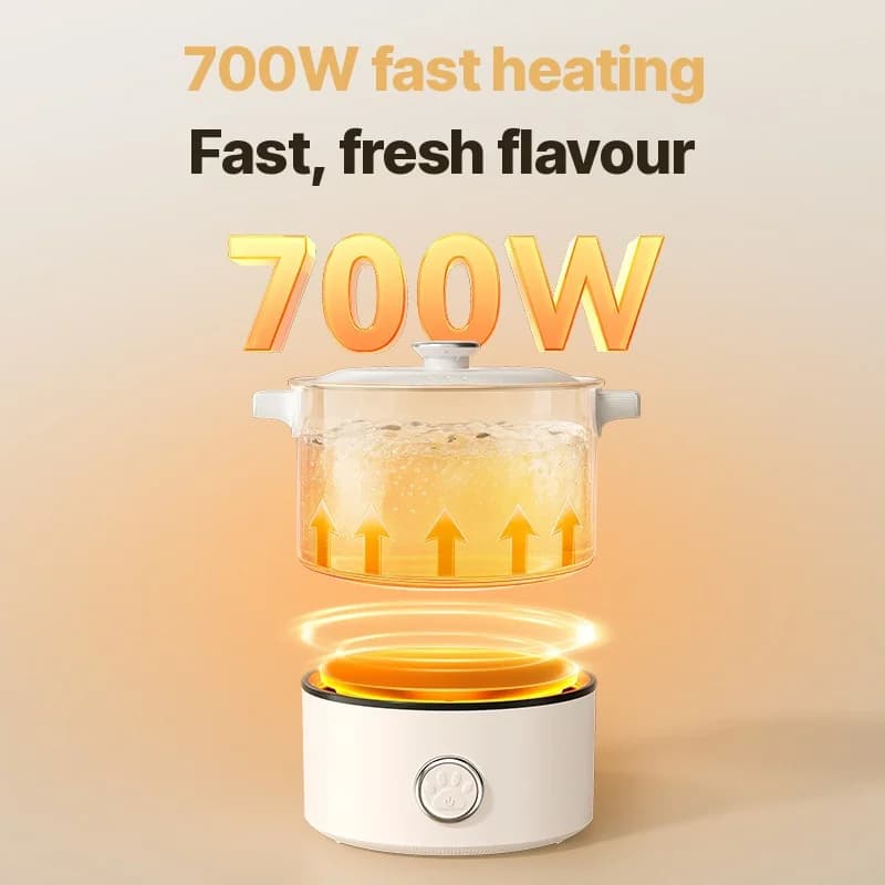 Marmite électrique portable avec poêle et grille vapeur