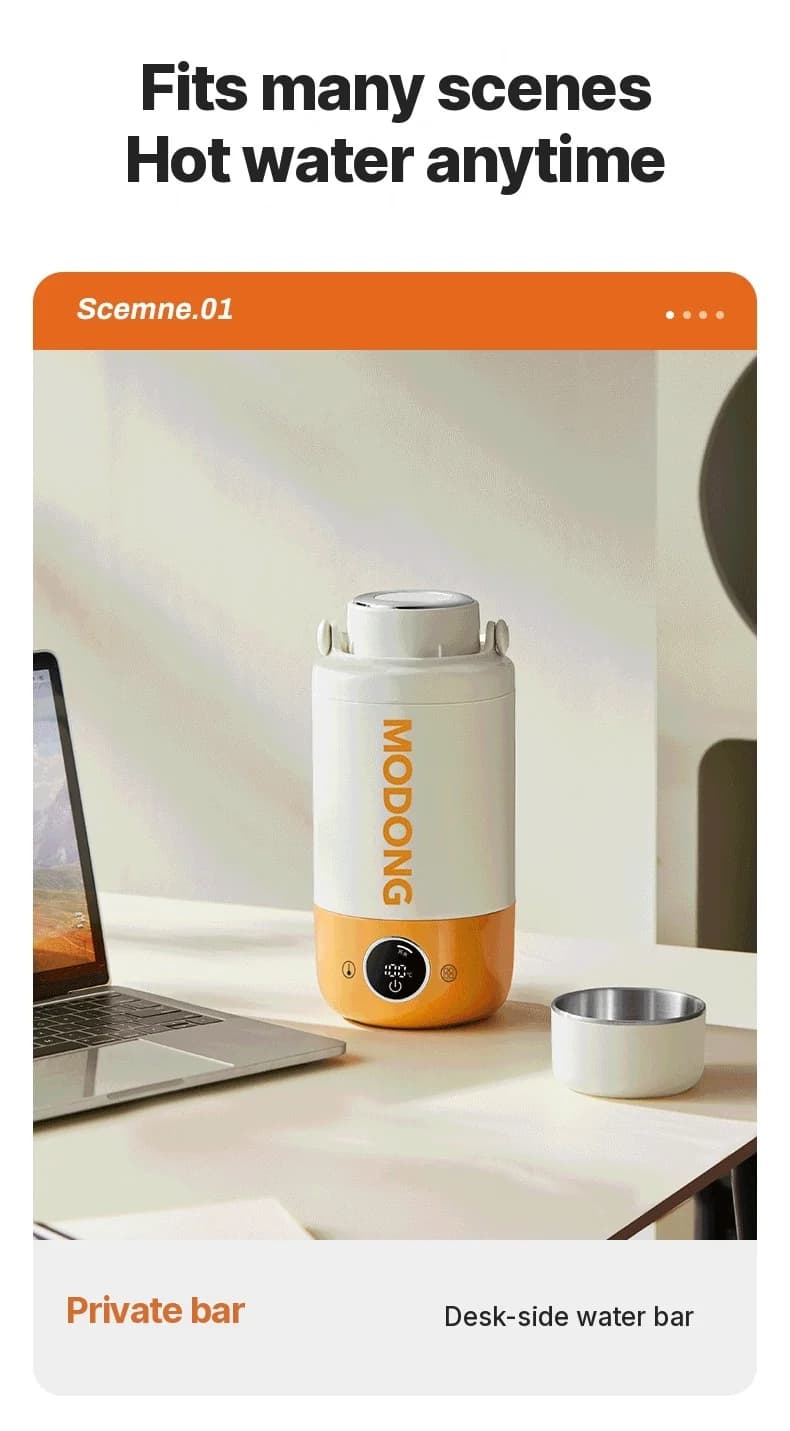 Tasse bouilloire électrique portable 1 L en acier inoxydable 316