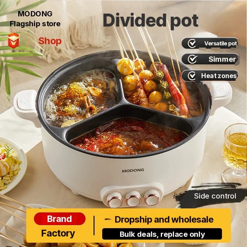 Marmite électrique divisée 6L-8L, 220V, 5-6 personnes