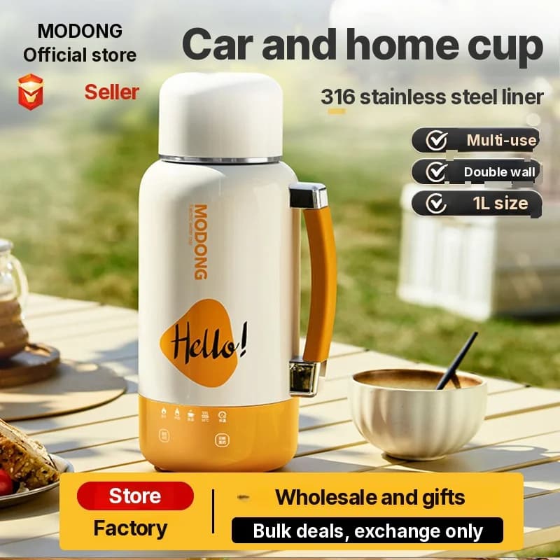 Tasse bouilloire électrique portable pour voiture et prise secteur 1L acier inoxydable 316