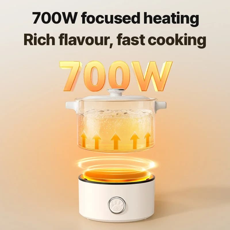 Casserole électrique pliable portable 110V-220V 550W/700W