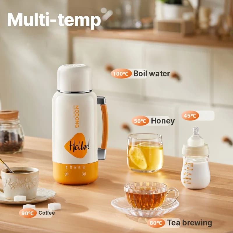Tasse bouilloire électrique portable pour voiture et prise secteur 1L acier inoxydable 316